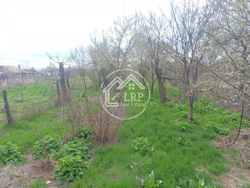 Amara, vila P+1 in 1.170 mp teren, toate utilitatile, Str. Bailor.